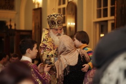 _MG_4879 - �����